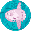 María profile picture